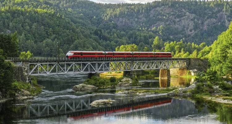 Train crossing a bridge over a river in a green landscape.