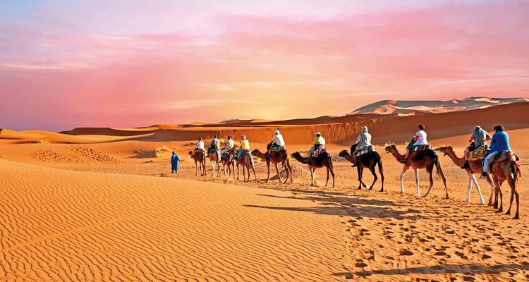 A group of camels and riders crossing a desert landscape at sunset.