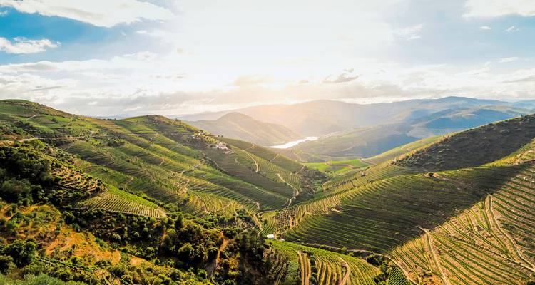 Une vue panoramique de vastes collines verdoyantes et d'une rivière sinueuse.