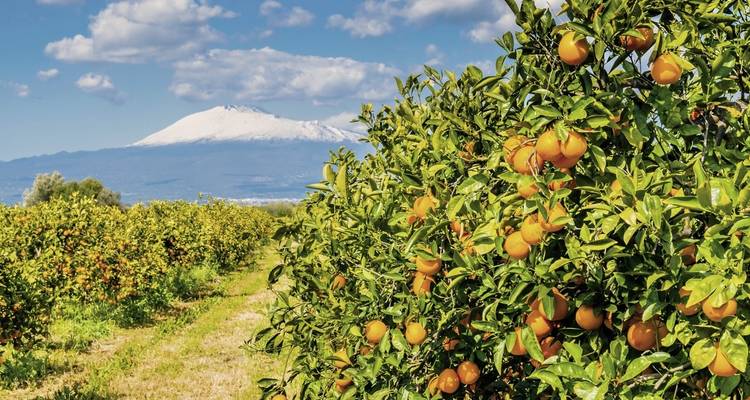 Sicily - Siciliando - DERTOUR 10