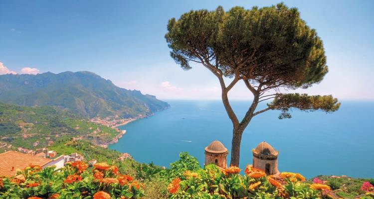 Une belle vue côtière depuis un point de vue élevé avec un arbre et des fleurs au premier plan.