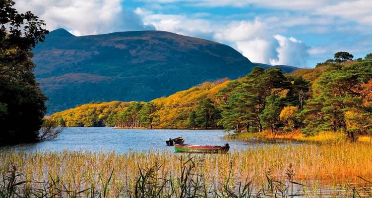 Highlights around Killarney plus - DERTOUR 10