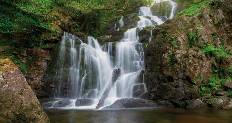 Cascade pittoresque dégringolant sur des rochers entourés de verdure.