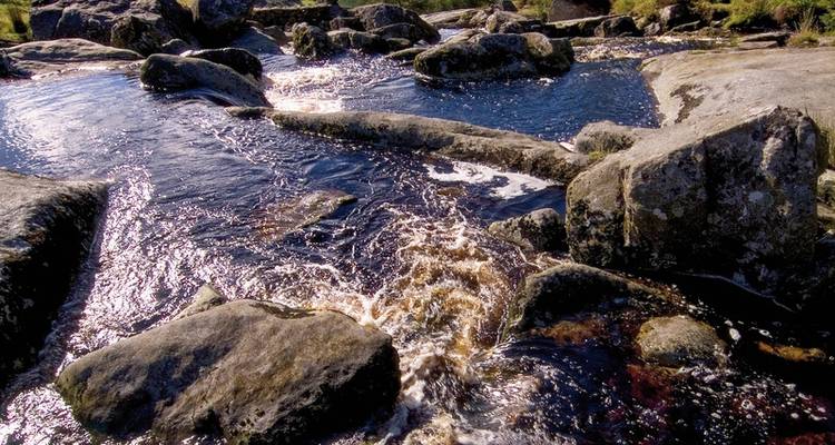 Family adventure tour Ireland - DERTOUR 3