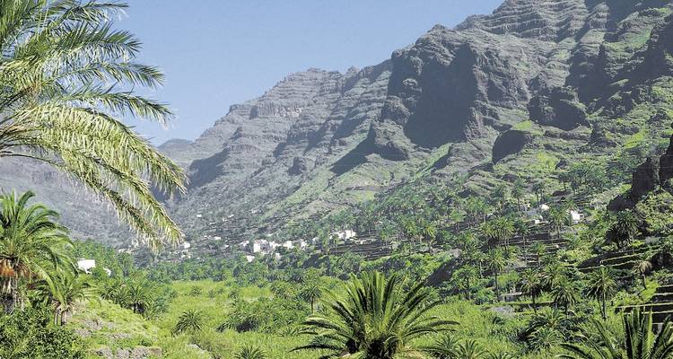 Exuberante valle verde con palmeras y campos en terrazas.