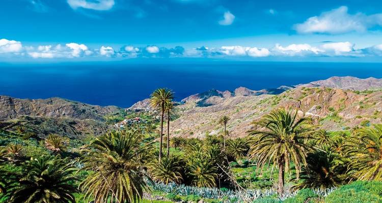 Vue d'un paysage tropical avec des palmiers et un océan au loin.