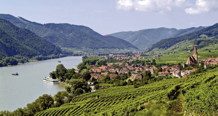 Valle fluvial pintoresco con viñedos y un pequeño pueblo.