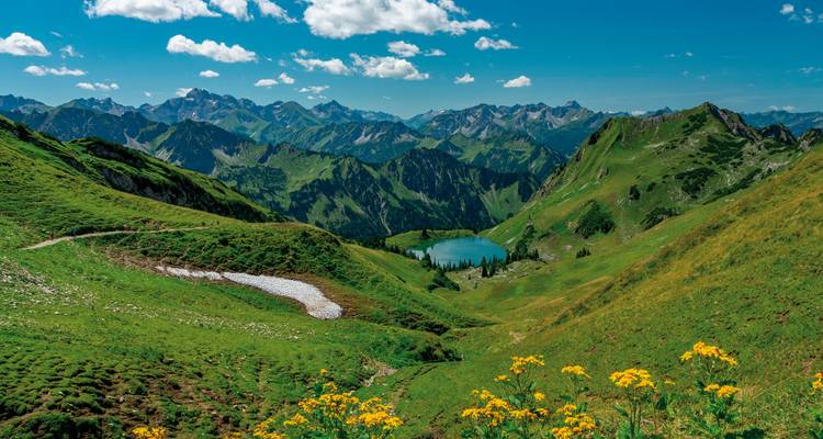 Vue panoramique de montagne avec un lac et des fleurs sauvages éclatantes