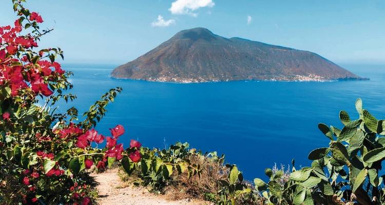 A picturesque view of an island with flowers and cacti in the foreground.