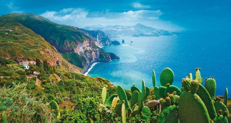 A breathtaking coastal landscape with cliffs and vibrant green flora.