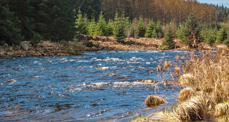 Heart of Scotland - DERTOUR 7