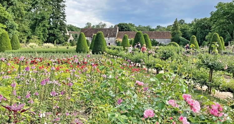 Beautiful garden with colorful flowers and pruned shrubs, people walking.