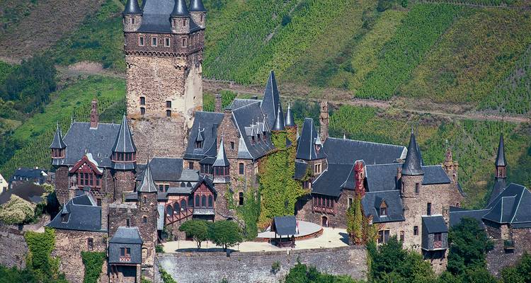 Un castillo histórico rodeado de viñedos verdes.