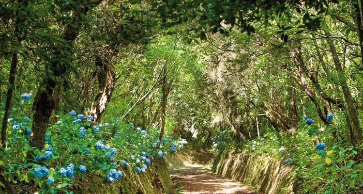 Hiking tour Madeira - DERTOUR 9