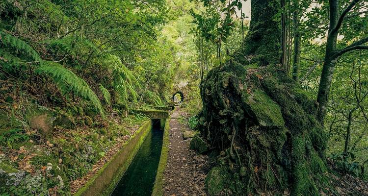 Hiking tour Madeira - DERTOUR 1