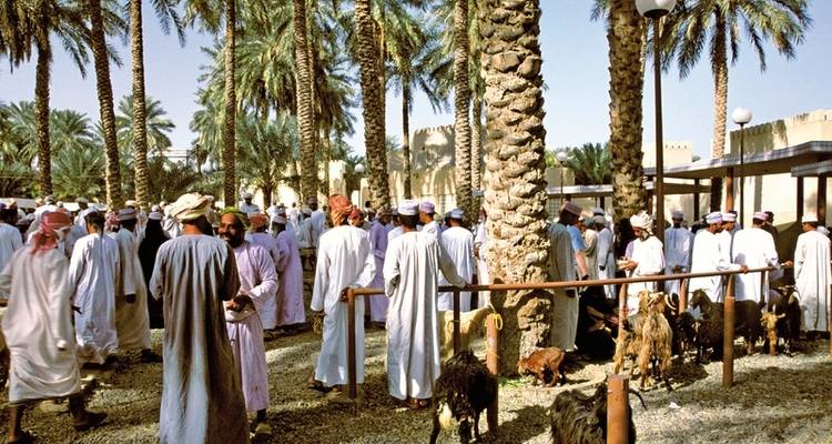 Discover Oman - DERTOUR 2