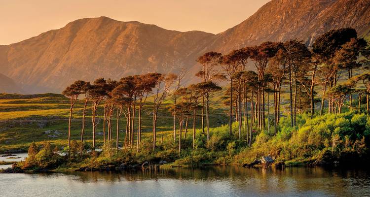 Trees silhouetted against a sunset view of a lake with mountains in the background.