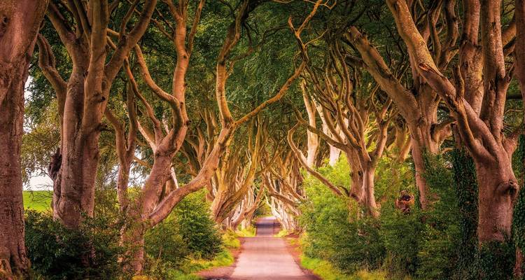 Une Irlande digne d'un film - DERTOUR 9