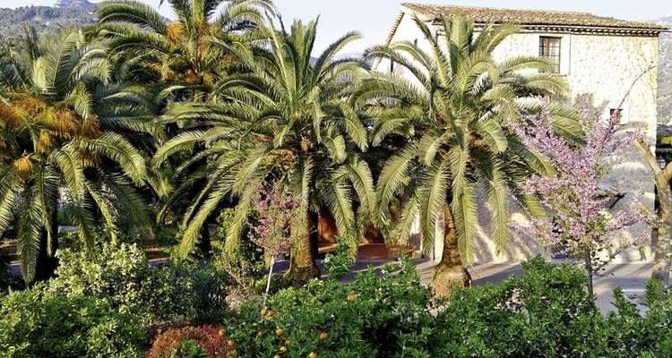 Finca hiking Mallorca - DERTOUR 10