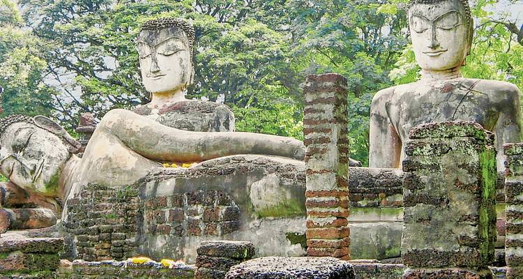 Oude liggende Boeddhabeelden in een jungle-omgeving.
