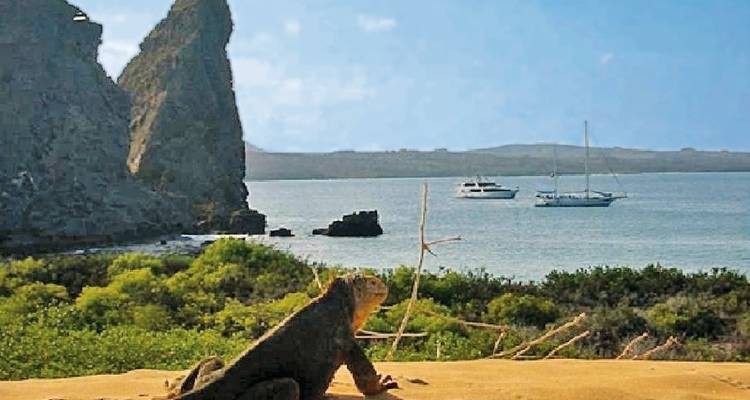Galapagos Scalesia Lodge - 4 nights - DERTOUR 5