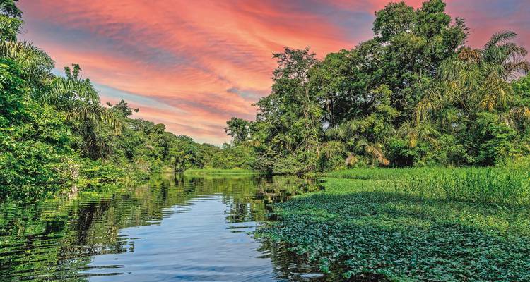 Coucher de soleil vibrant au-dessus d'une rivière avec une forêt verdoyante luxuriante.