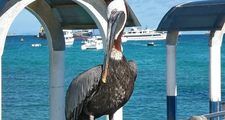 Excursiones por Santa Cruz 4 noches - DERTOUR 3