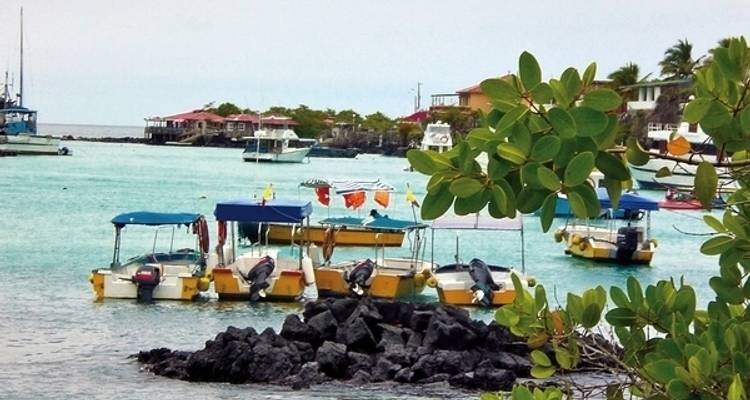 Excursiones por Santa Cruz 4 noches - DERTOUR 4