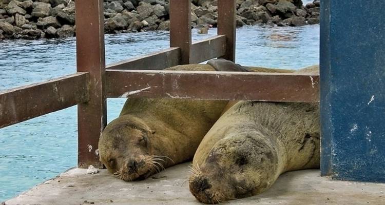 Excursiones por Santa Cruz 4 noches - DERTOUR 7