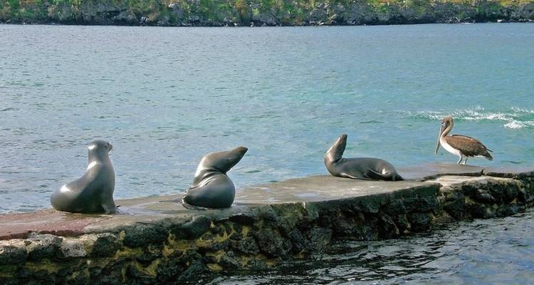 Excursiones por Santa Cruz 4 noches - DERTOUR 8
