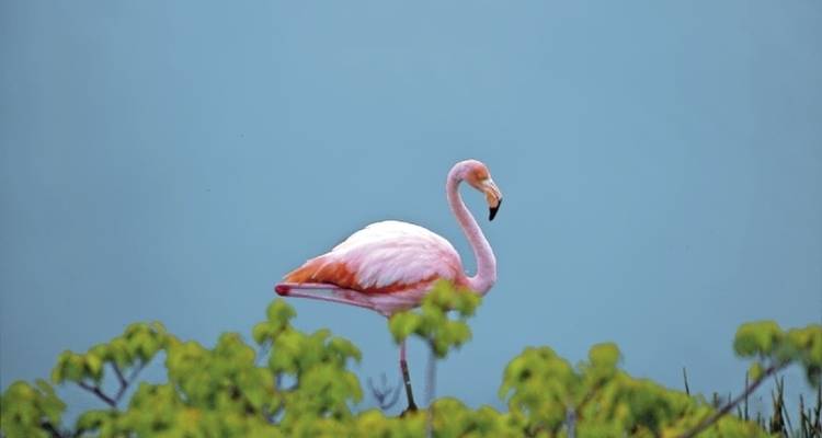 Excursiones por Santa Cruz 4 noches - DERTOUR 10