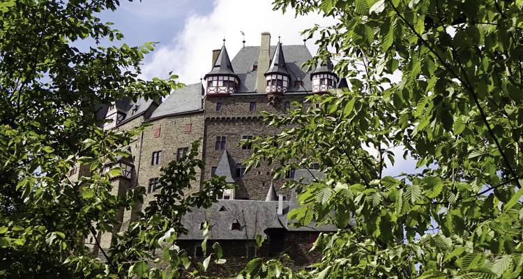 Château caché parmi les arbres verts luxuriants.