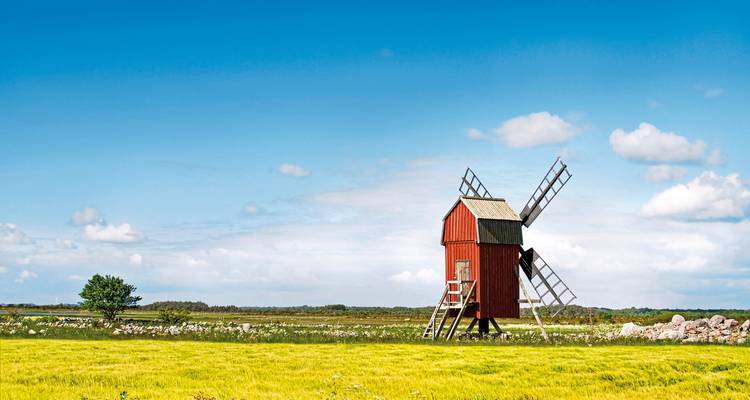 Traditionele windmolen in een weelderig groen veld.