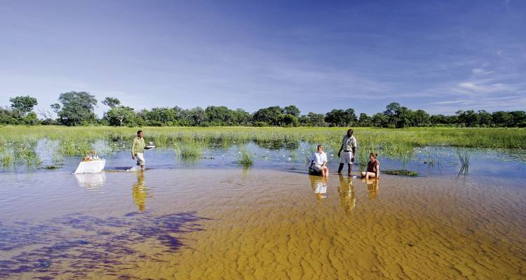 Des touristes marchant dans des eaux peu profondes dans une zone humide luxuriante.