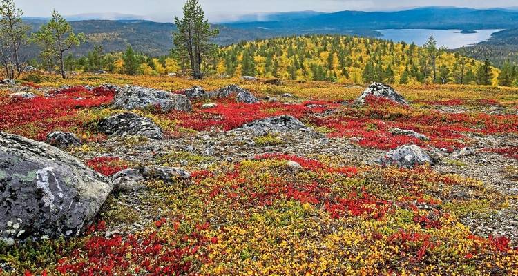 De la capitale à l'Arctique - DERTOUR 1