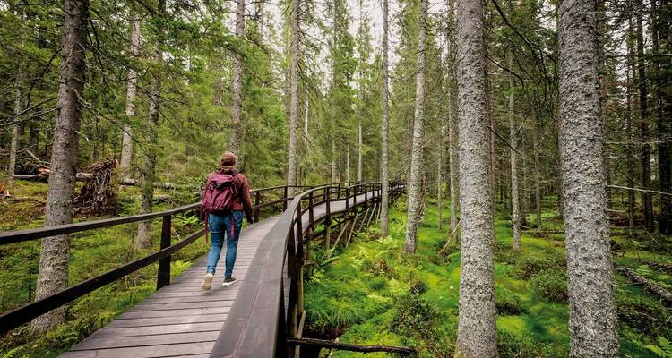 Sweden step by step - two countries, one sea - DERTOUR 2