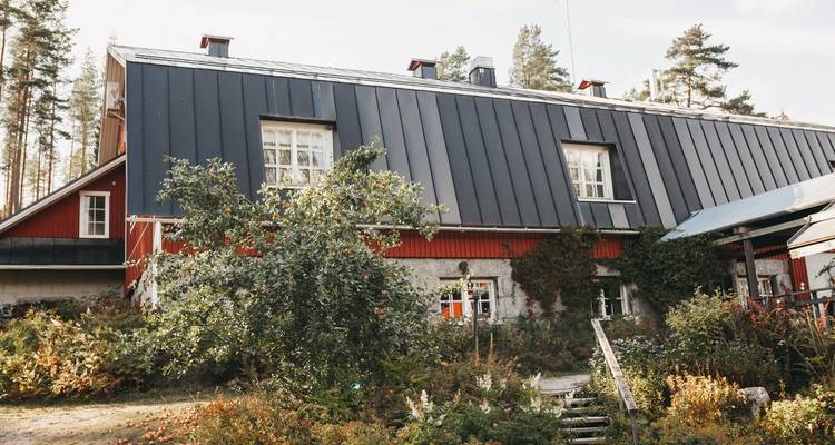 Traditional Finnish house surrounded by vegetation.