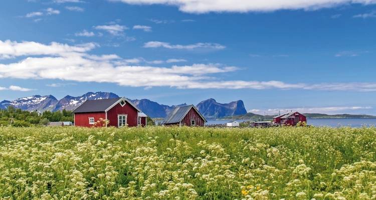 Paradis naturels du Grand Nord - DERTOUR 2