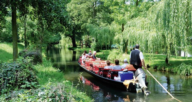 Group of people on a boat navigating through a lush canal.