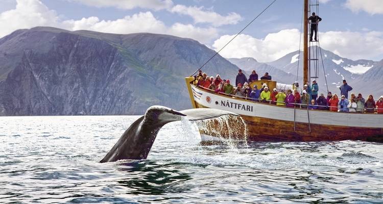 Alrededor de Islandia - De costa a costa - DERTOUR 6
