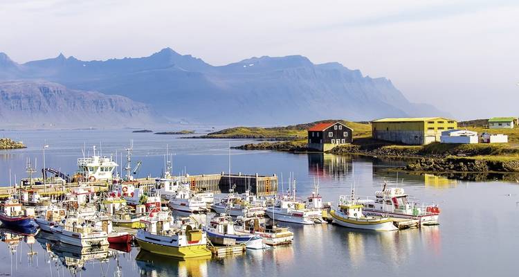 Around Iceland - From coast to coast - DERTOUR 4