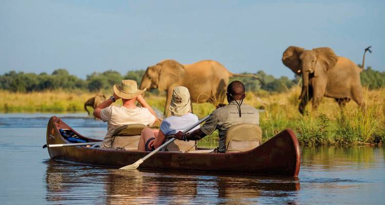 Canoë avec des personnes observant des éléphants près de la rive.