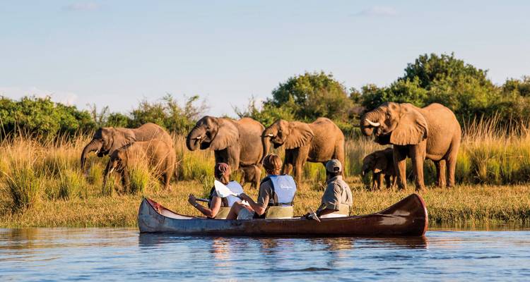 Canoë avec des personnes observant un groupe d'éléphants sur la berge.
