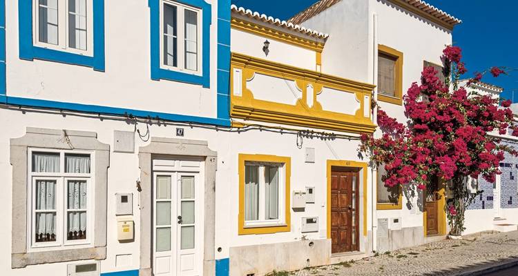 Maisons colorées avec des accents floraux le long d'une rue tranquille.