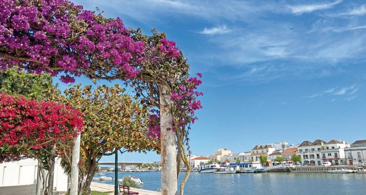 Vue sur le front de mer dans une ville avec des fleurs colorées et des bateaux.