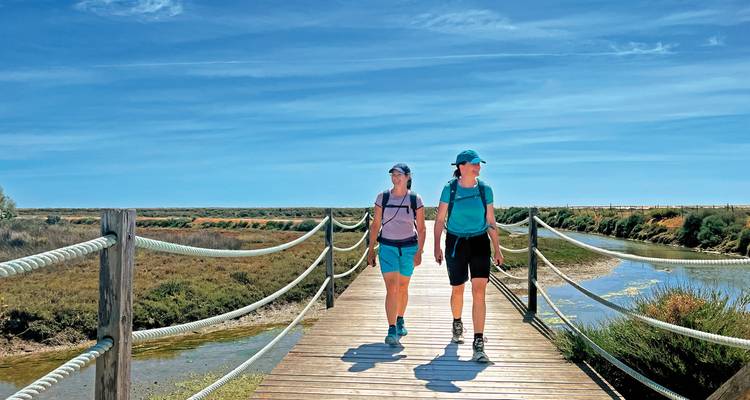 Deux randonneurs marchant sur un sentier en bois au-dessus d'un paysage naturel.