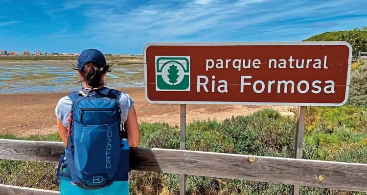 Vue arrière d'une personne debout à côté d'un panneau d'affichage dans un parc naturel.