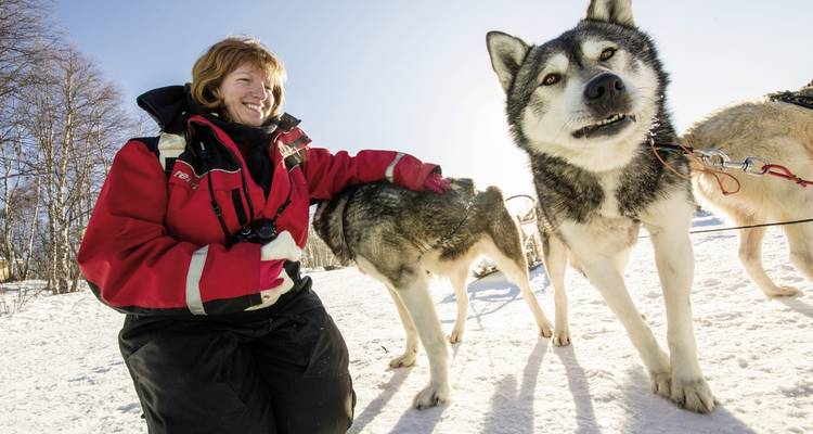 Personne interagissant avec des huskies dans un paysage enneigé.