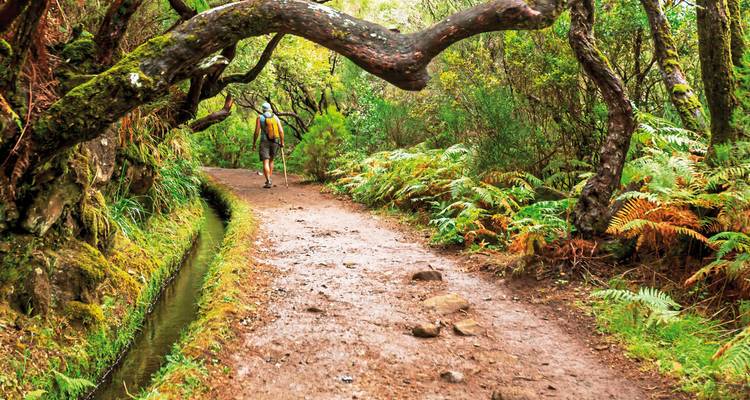 Sentier de randonnée en forêt avec un canal d'eau étroit et un randonneur.