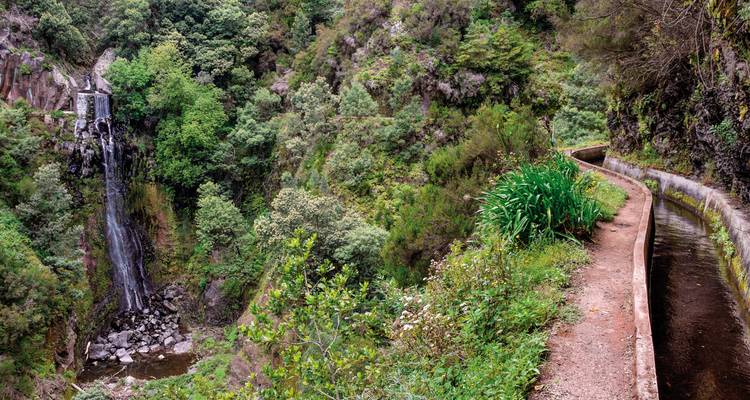 Cascada en un barranco verde exuberante con un sendero cercano para caminar.